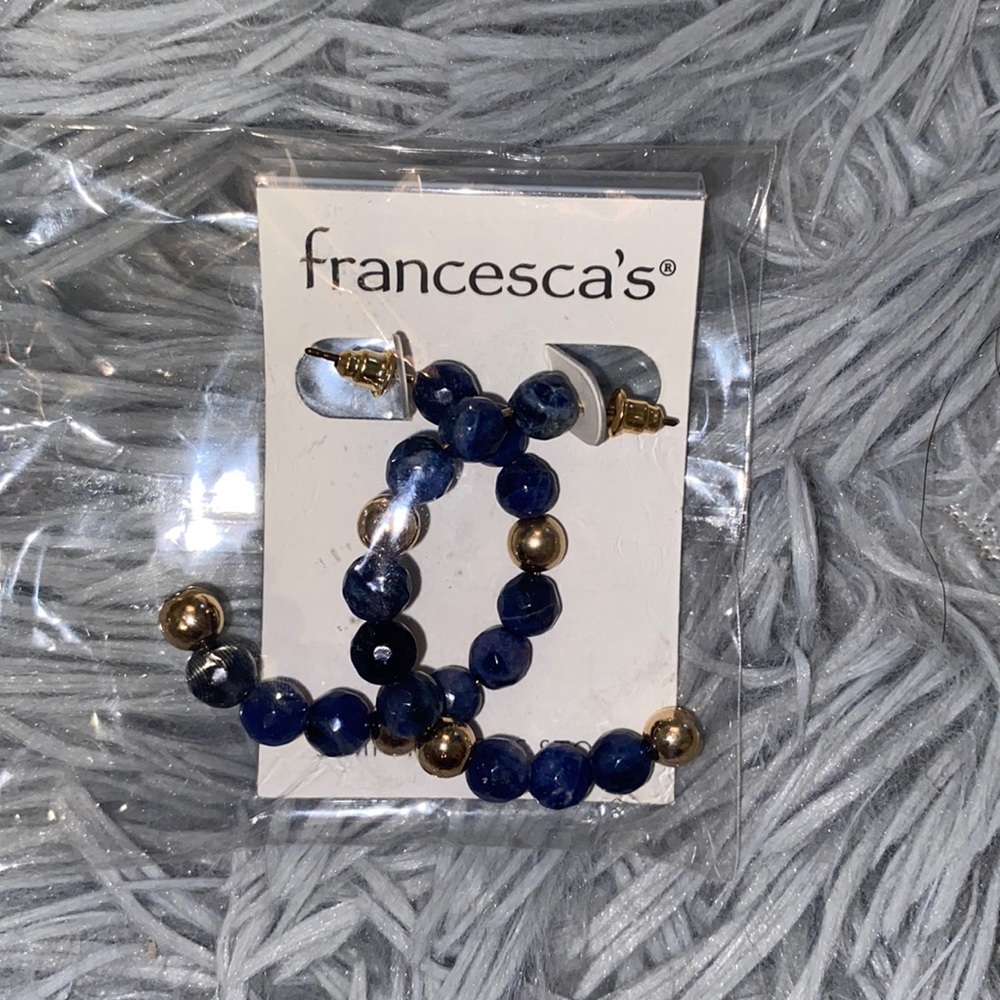 Francesca’s Navy Blue & Gold Earrings